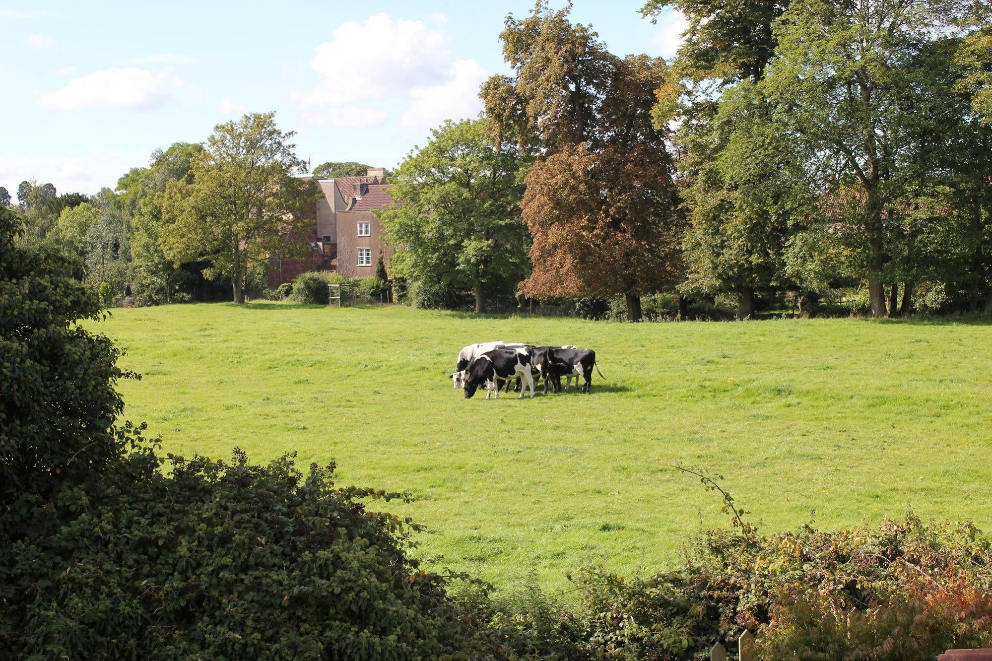 Bed & Breakfast The Coach House Winterbourne